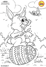 24